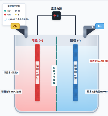 氯碱工业：离子交换膜电解槽模型