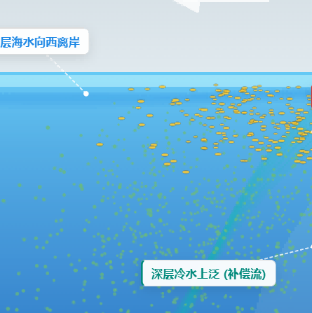 上升补偿流（秘鲁渔场）微观立体剖面