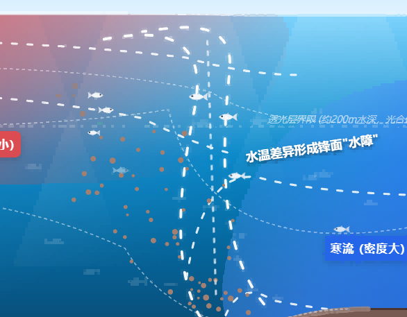 寒暖流交汇渔场成因微观流向
