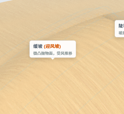新月形沙丘演化过程与风向判断