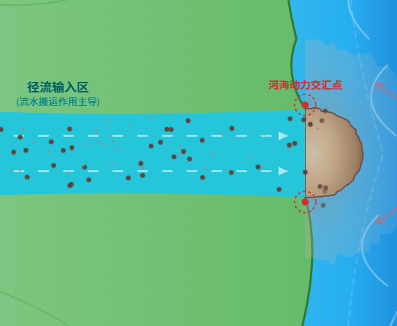 河口三角洲演变与泥沙沉积动态过程