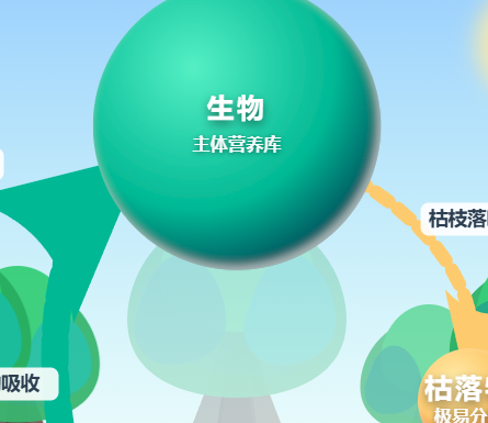 热带雨林物质循环动态演进