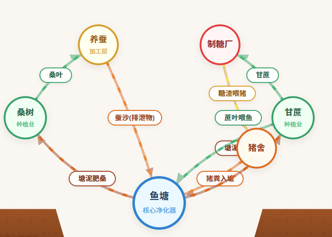 珠三角基塘农业生态网络