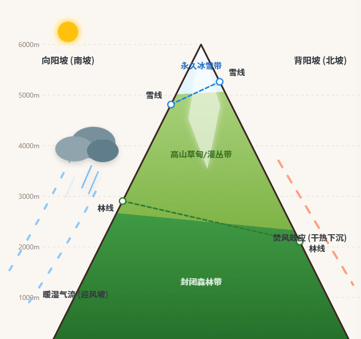 雪线与林线海拔高度分布规律