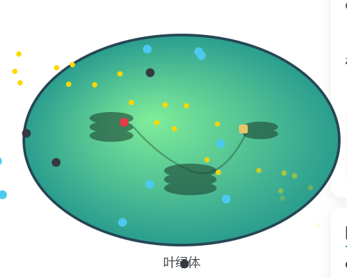 光合作用微观演示