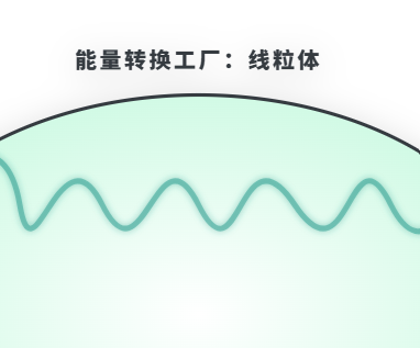 呼吸作用