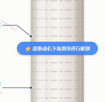 导管微观结构