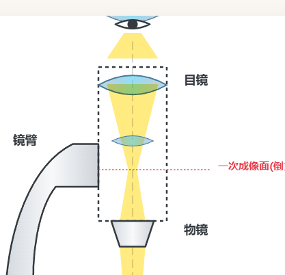 显微镜光路与成像原理