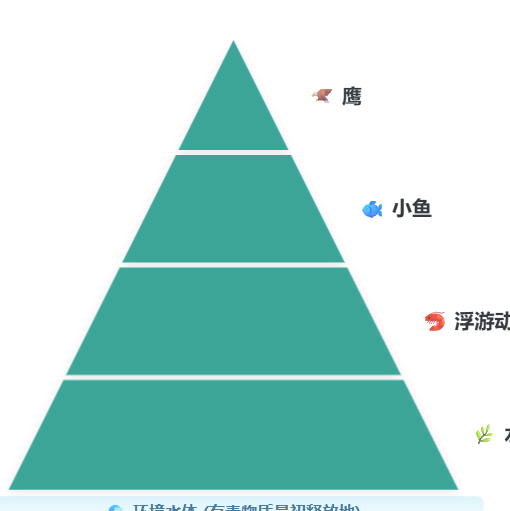 有毒物质富集