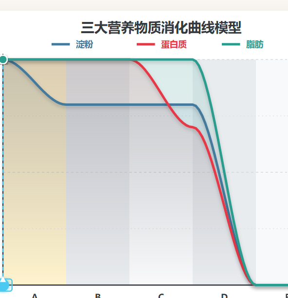 营养物质消化曲线