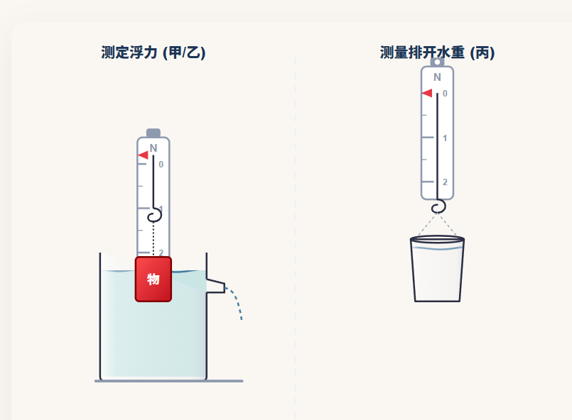 探究阿基米德原理：误差分析系统