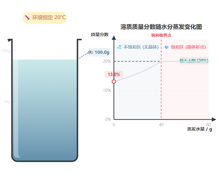 恒温蒸发溶质实验