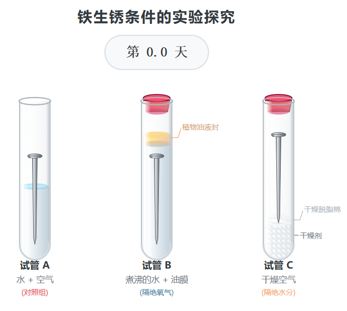 铁钉生锈条件实验研究